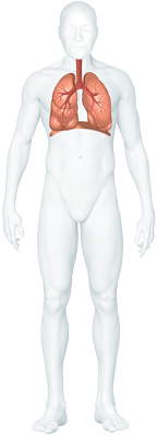 Atemwegs-erkrankungen